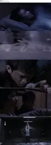 The Raid: Redemption / Serbuan maut (2011)