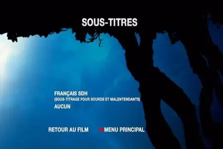 La cle des champs/The Field of Enchantment (2011)