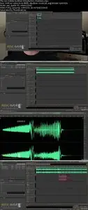 Adobe Audition CC Audio Production Course Basics to Expert