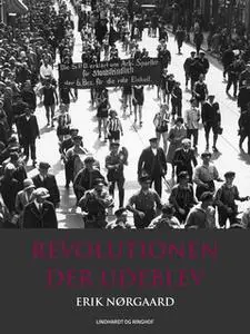 «Revolutionen der udeblev» by Erik Nørgaard