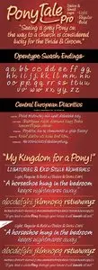 Pony Tale Pro Font
