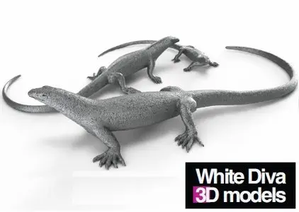 Accent 3D Models Collection vol.1 "White diva"