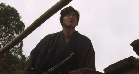 The Last Ronin (2010)