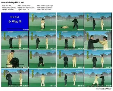 Overwhelming Skills Sparring And Capture DVD6