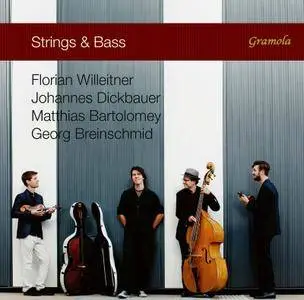 Strings and Bass - Strings and Bass (2017) [Official Digital Download]