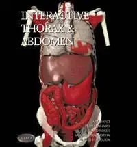 Interactive Thorax & Abdomen (Primal)