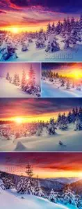 Stock Photo - Winter Nature & Sunset