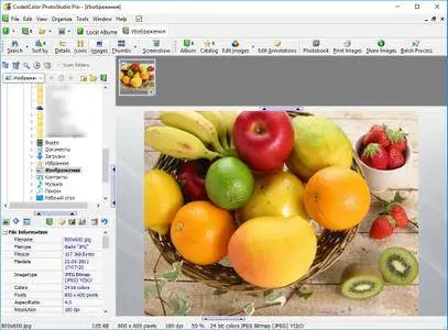 CodedColor PhotoStudio Pro 7.6.1