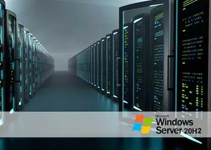 Windows Server, version 20H2 build 19042.867