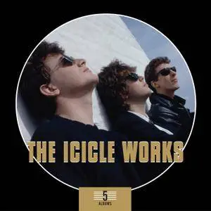 The Icicle Works - 5 Albums (5CD Box Set, 2013)