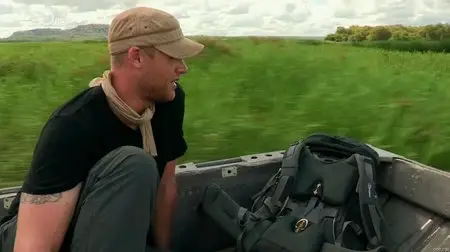 Discovery Channel - Freddie Flintoff Goes Wild Australia (2012)