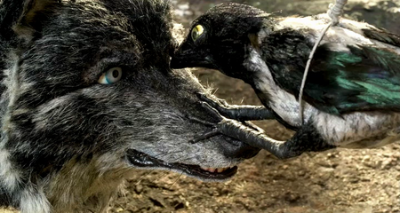 PIERRE ET LE LOUP  - 2006