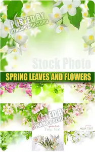 Spring leaves and flowers - UHQ Stock Photo