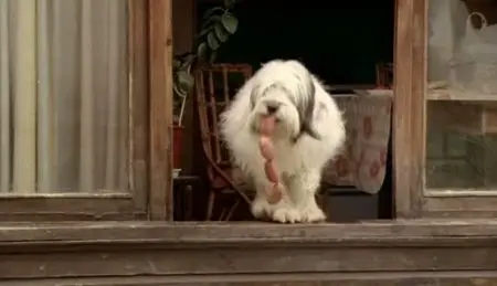 (Arte) Gordo ou les péripéties d'un chien à Ushuaïa (2011)