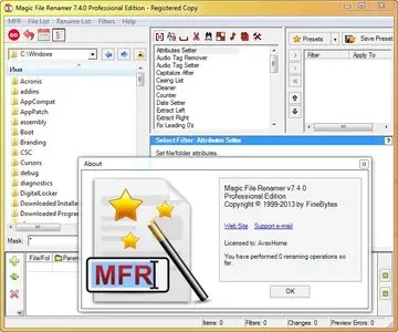 Magic File Renamer 7.4.0 Professional Edition