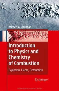 Introduction to Physics and Chemistry of Combustion: Explosion, Flame, Detonation