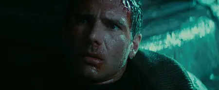 Blade Runner (The Final Cut) (1982)