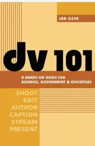 DV 101: A Hands-On Guide for Business, Government and Educators