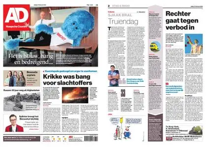 Algemeen Dagblad - Delft – 15 februari 2019