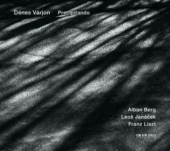 Denes Varjon - Precipitando (2012) {ECM New Series 2247}