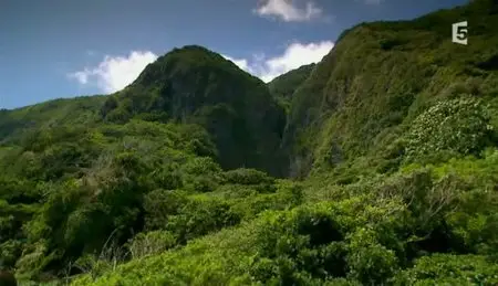 (Fr5) L'île aux orchidées sauvages (2011)