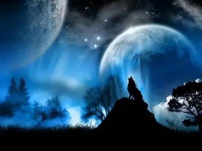 Wonderland Wolf Wallpapers