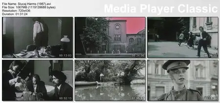 The Harms Case (1987)