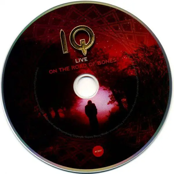 IQ - Live On The Road Of Bones (2015)