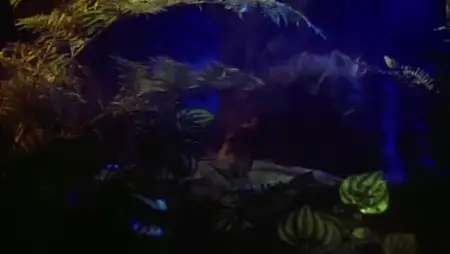 Dinosaures - Saison 4 par2" yEnc