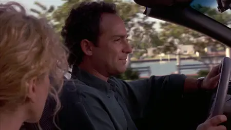 Miami Rhapsody (1995)