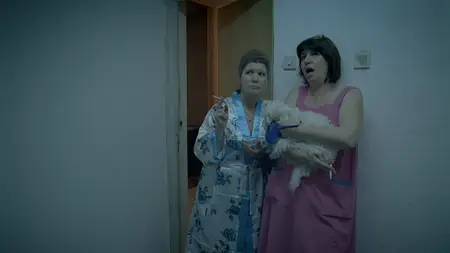 Viata mea sexuala (2010)