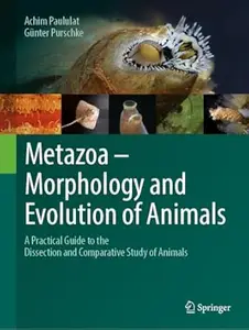 Metazoa – Morphology and Evolution of Animals