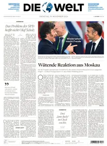 Die Welt - 19 November 2024