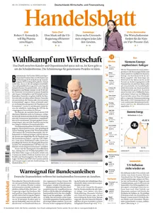 Handelsblatt  - 14 November 2024