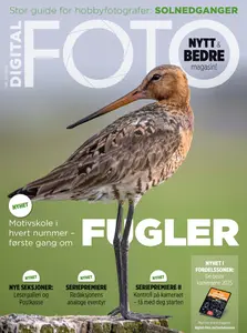 Digital Foto Norge - 10 Juni 2025