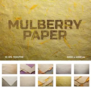 EE - Mulberry Paper Texture S9YEJUJ