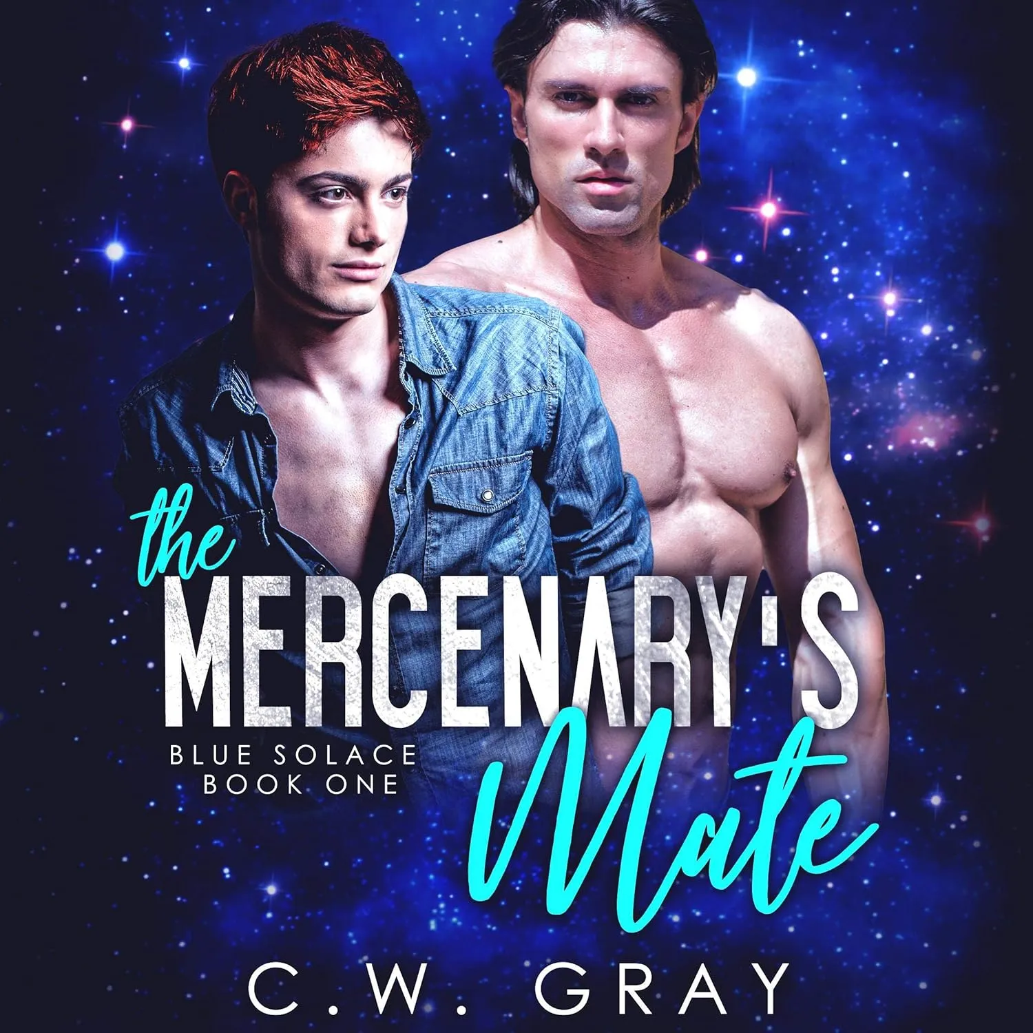 The Mercenary's Mate: Blue Solace