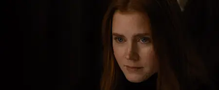 Nocturnal Animals (2016)