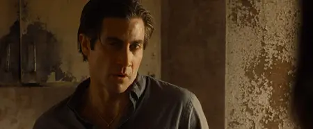 Nocturnal Animals (2016)