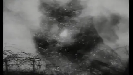 History Channel UK - 1914 Invasion of Belgium (2014)