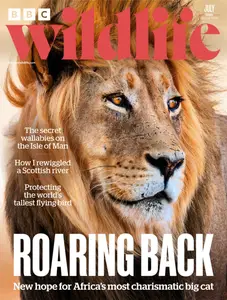 BBC Wildlife - July 2025