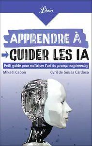 Apprendre à guider les IA - Cyril de Sousa Cardoso, Mikaël Cabon