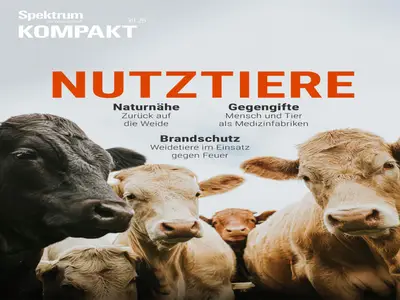 Spektrum Kompakt - 29 September 2025