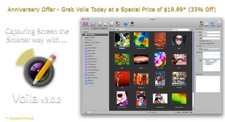 Voila 3.0.2