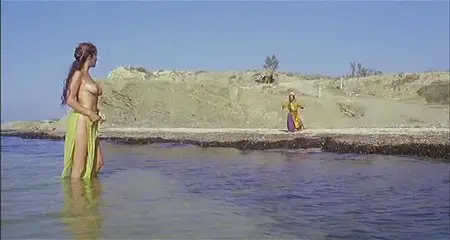 Il ladrone (1980)