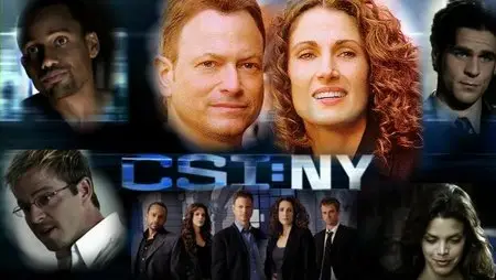 CSI: NY S07E11