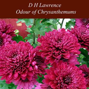 «Odour of Chrysanthemums» by David Herbert Lawrence