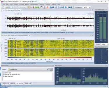 Acon Digital Media Acoustica Premium 5.0.0.33 Portable