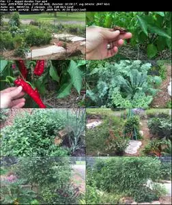 Mastering the Summer & Fall Garden