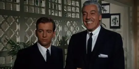 If a Man Answers (1962)
